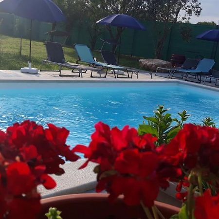 Holiday Home Dioniza Vodnjan Εξωτερικό φωτογραφία