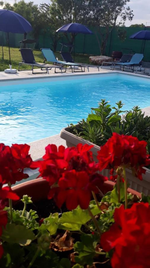 Holiday Home Dioniza Vodnjan Εξωτερικό φωτογραφία