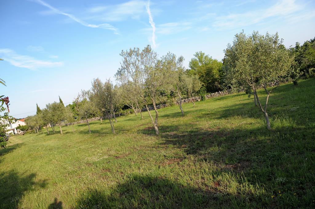 Holiday Home Dioniza Vodnjan Δωμάτιο φωτογραφία
